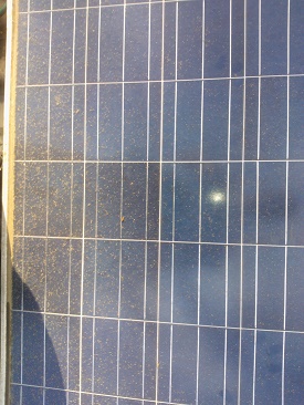 Glazenwasserij Rinie zonnepanelen4 vervuild